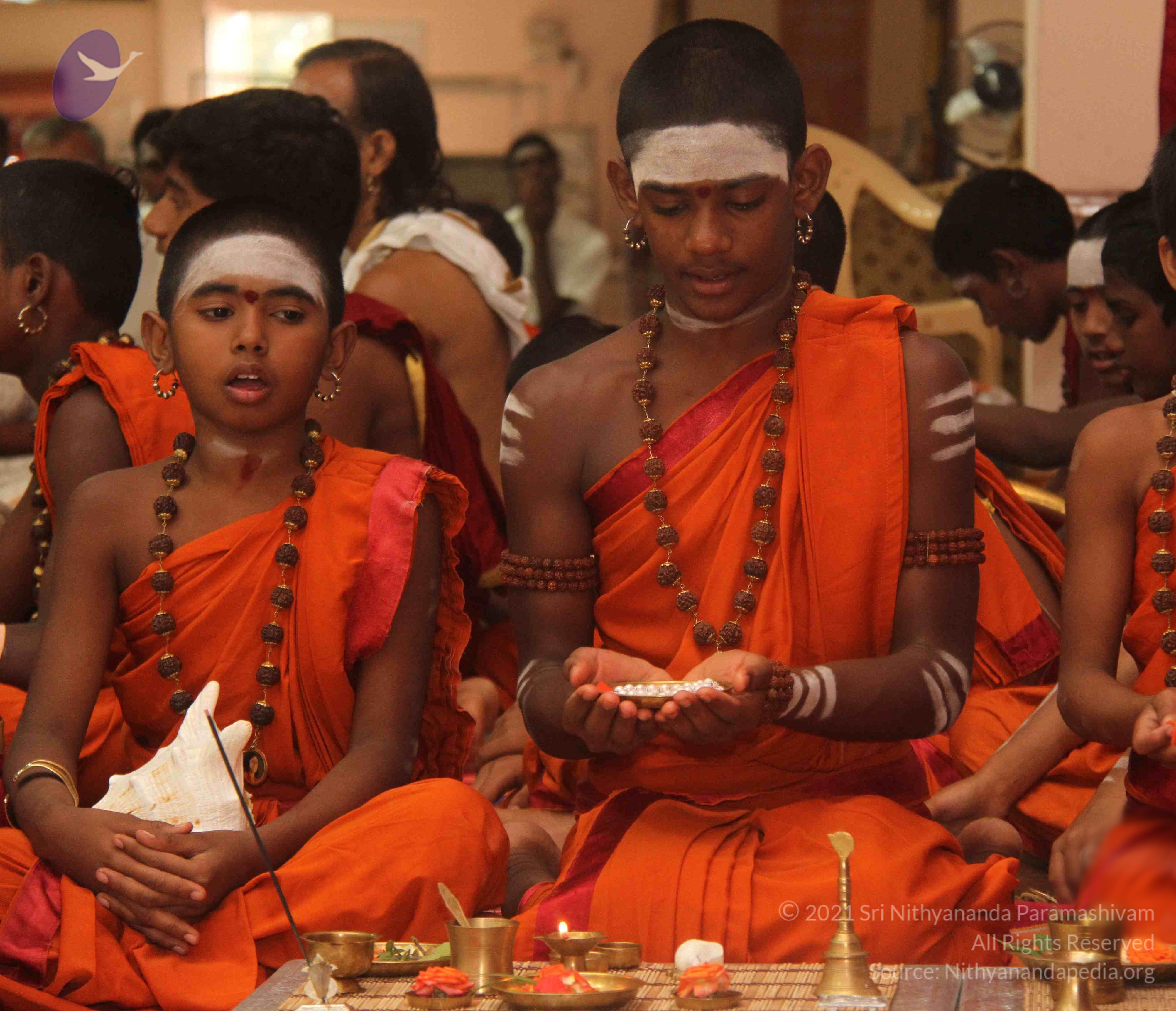 IMG_9237_CMP_WM done